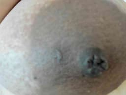 AlondraZaens
