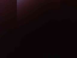 Sutener69-1