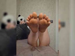 Black_chick