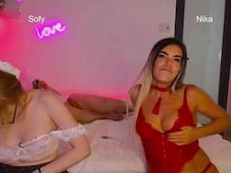 GOROD_GREHOV