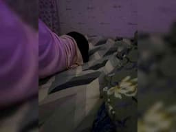 Para2DiAlex