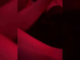 analysis-3