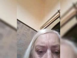 Laima18