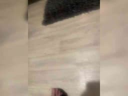 Seksksksks1