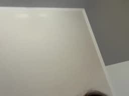 Ava