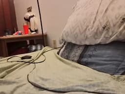 smoothslutfordaddy