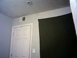Buttonz455