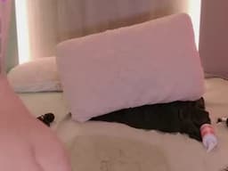 🎀 Emma 🎀