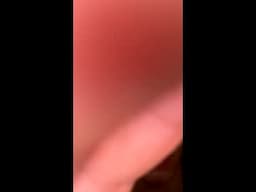 Biboiwill