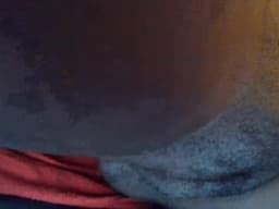 Indigo_Scorpio