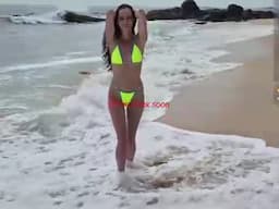 nikkitasty