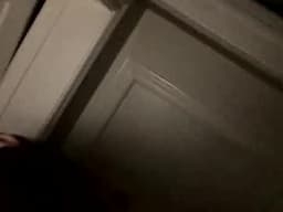 Brattybbw19