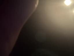 WowSooBig