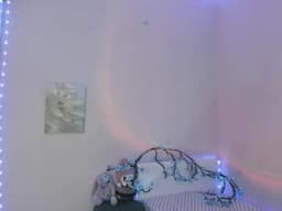 Alice (fansly.com/your_sissy_doll)