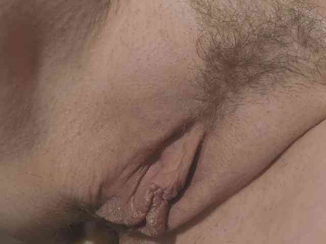 Xollan