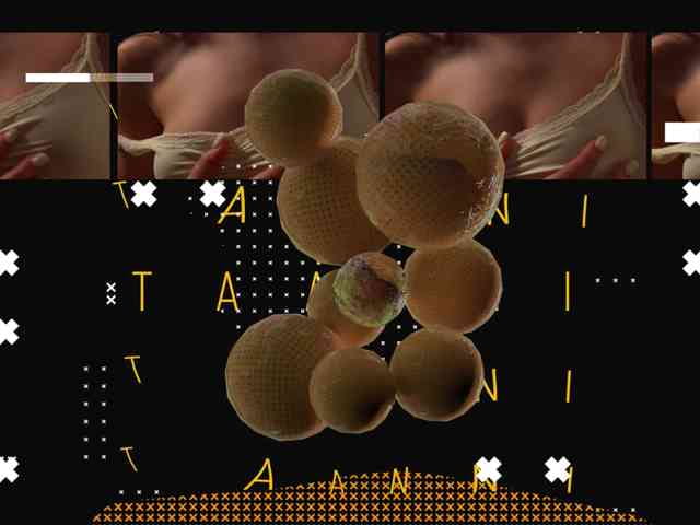 Taanni