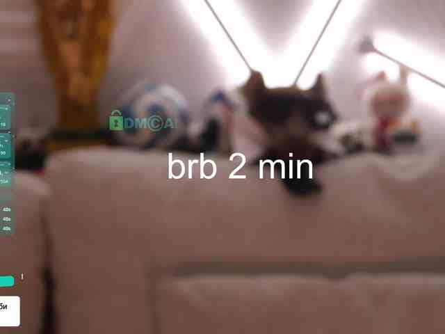 Taanni