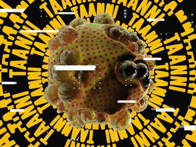 Taanni
