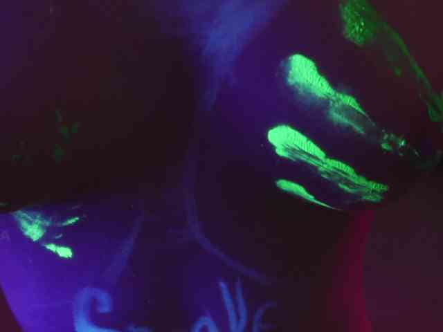 Kottyaaaa