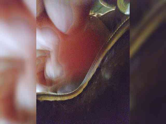 EditaMilf
