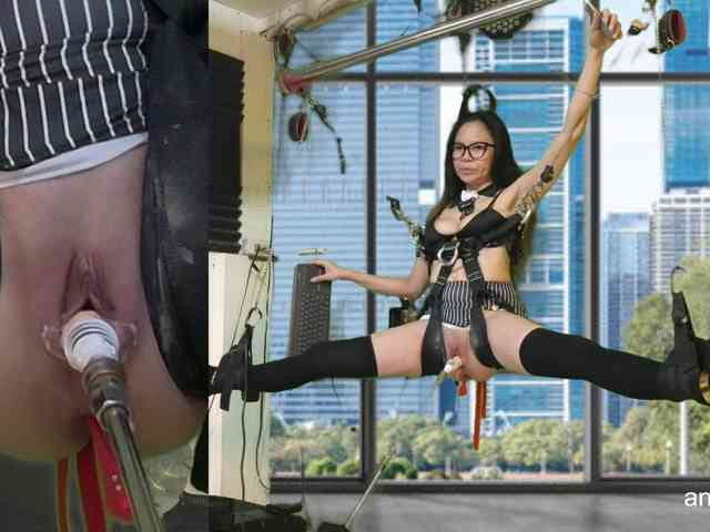angelinasia