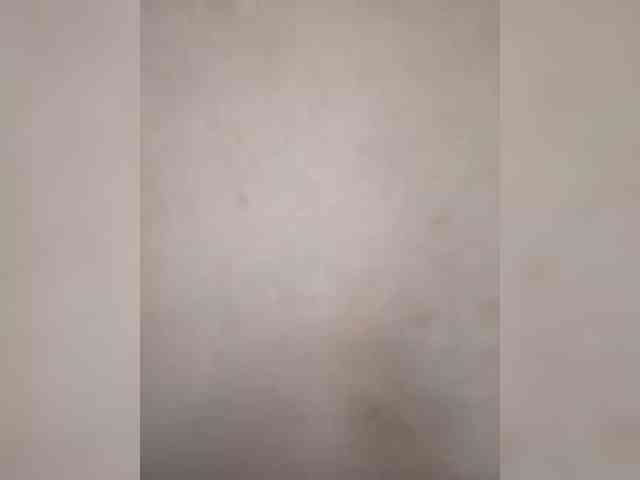 Plohishi2