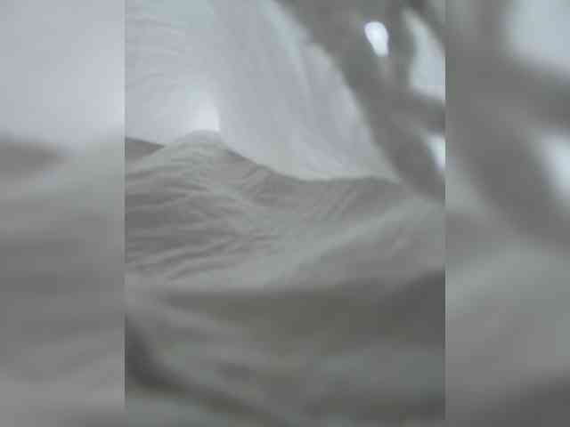 Talilia