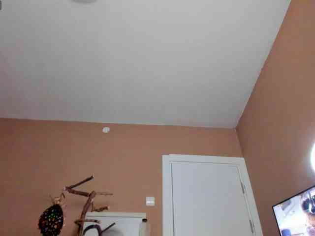 kaylalaine1