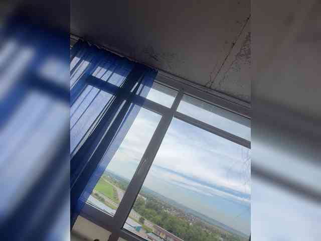 Milaya8