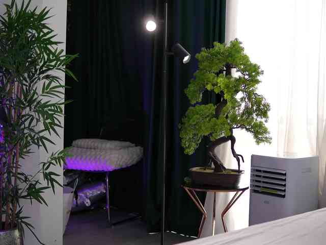 ArtTeasee