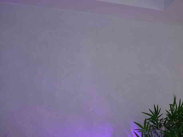 ArtTeasee