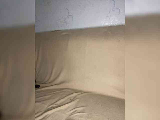 LinaTwins