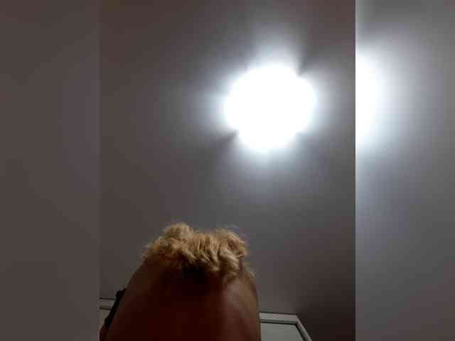 LittleSammy