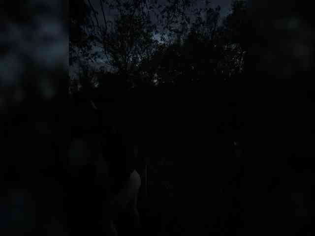 Sun-Moon