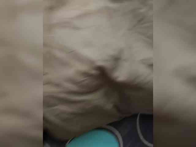 Lyoublue