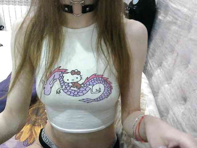 KittyBounty