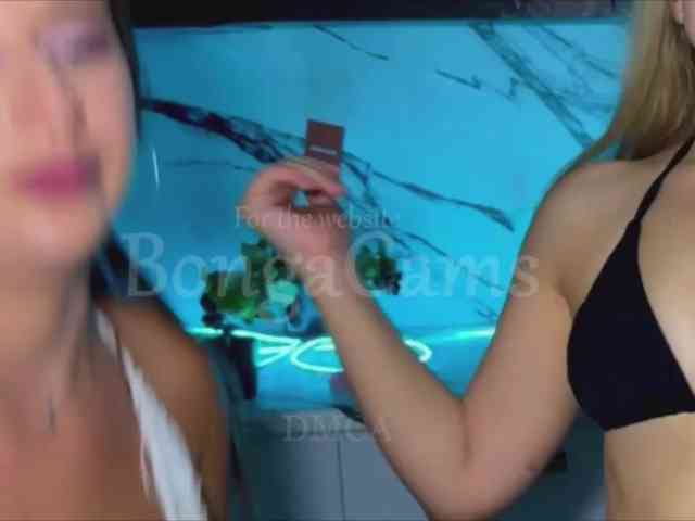 Soskinereanki
