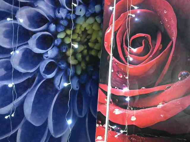 Lilijjjjjjjjjjjjjjjjj90