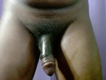 african_blackbull