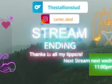 thestallionstud