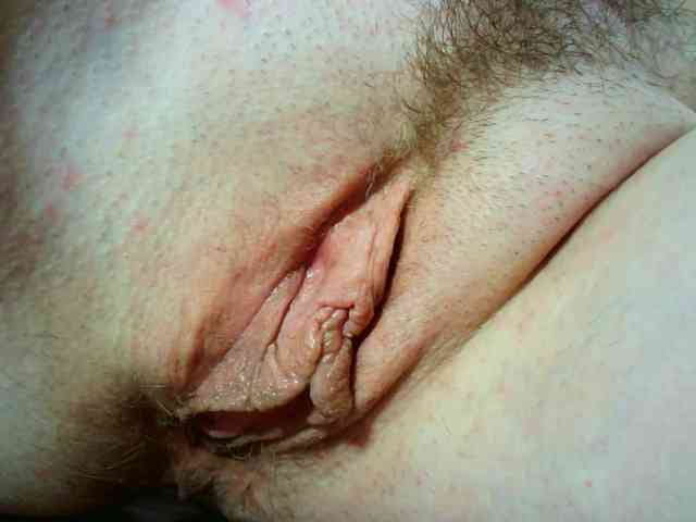 Xollan