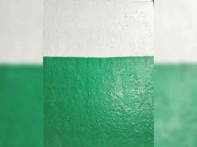 pevicha