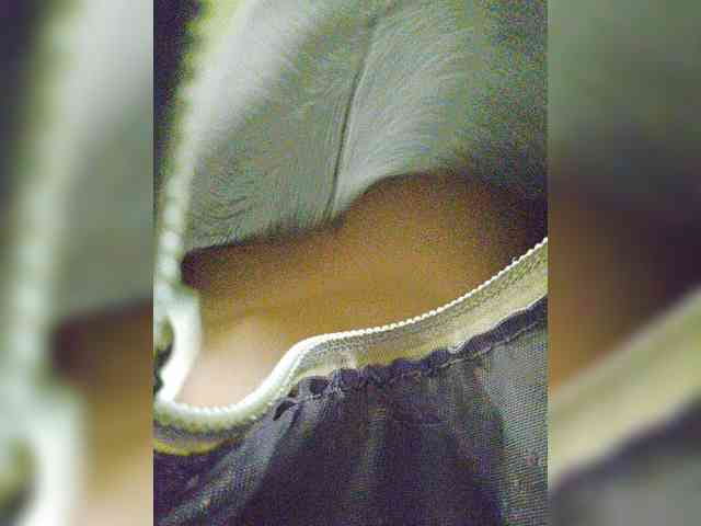 EditaMilf