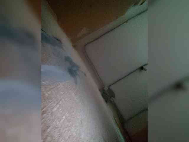 Instaanetkaa
