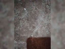 lyna23