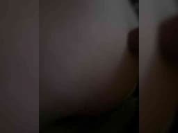 Bipara2