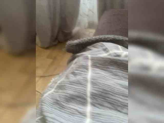 sofa555alex666