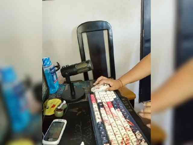 Gaviotaa